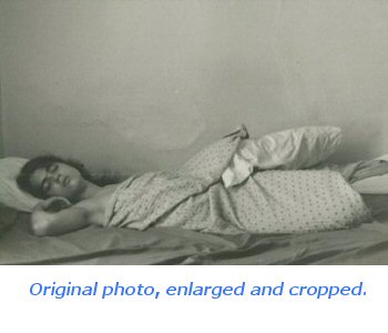 enlargement, original photo by Christopher Waldron