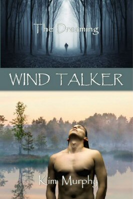 Wind Talker book cover illustration